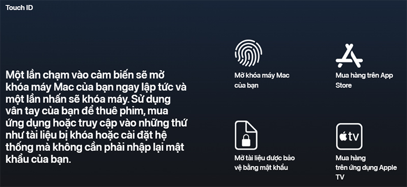 Bàn phím Magic Keyboard tích hợp hợp cảm biến vân tay Touch ID tạo khả năng bảo mật tối ưu